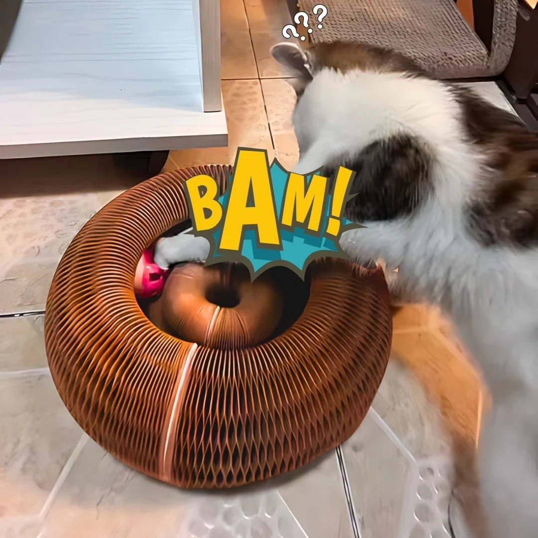 Kitty Kurlz