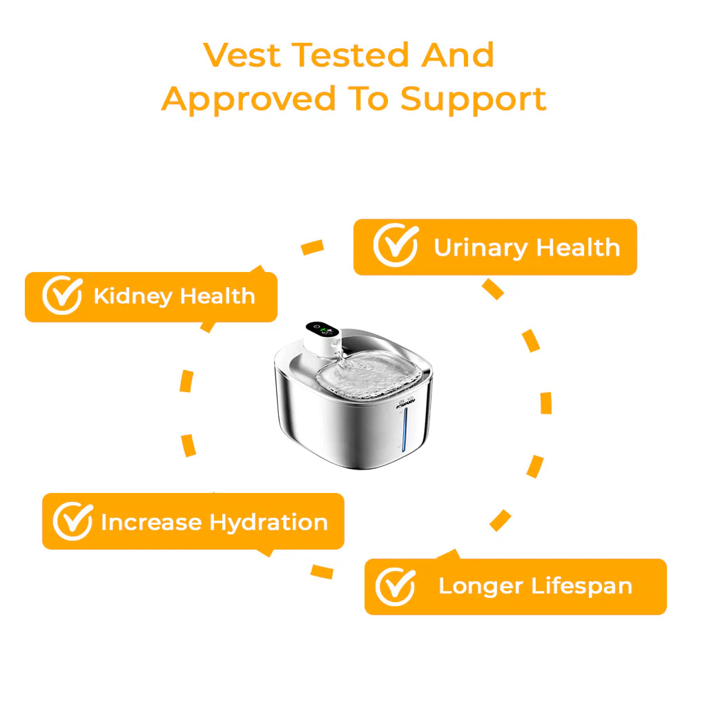 Minfit™ Luxury Wireless Fountain