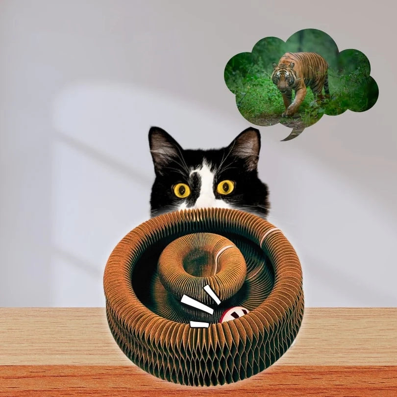 Kitty Kurlz