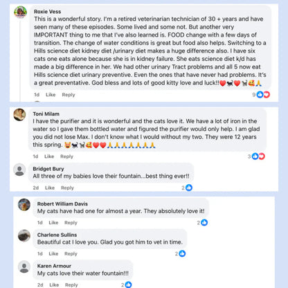 Minfit™ Luxury Wireless Fountain